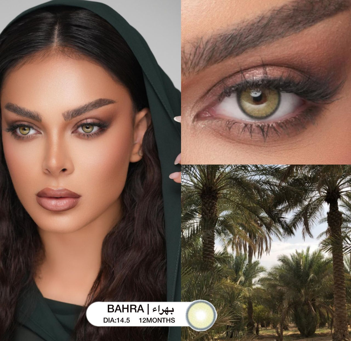 Bahra | بهراء