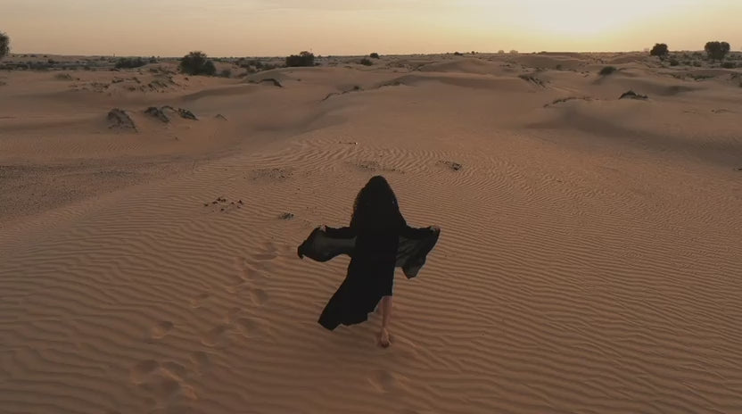 تحميل الفيديو: 